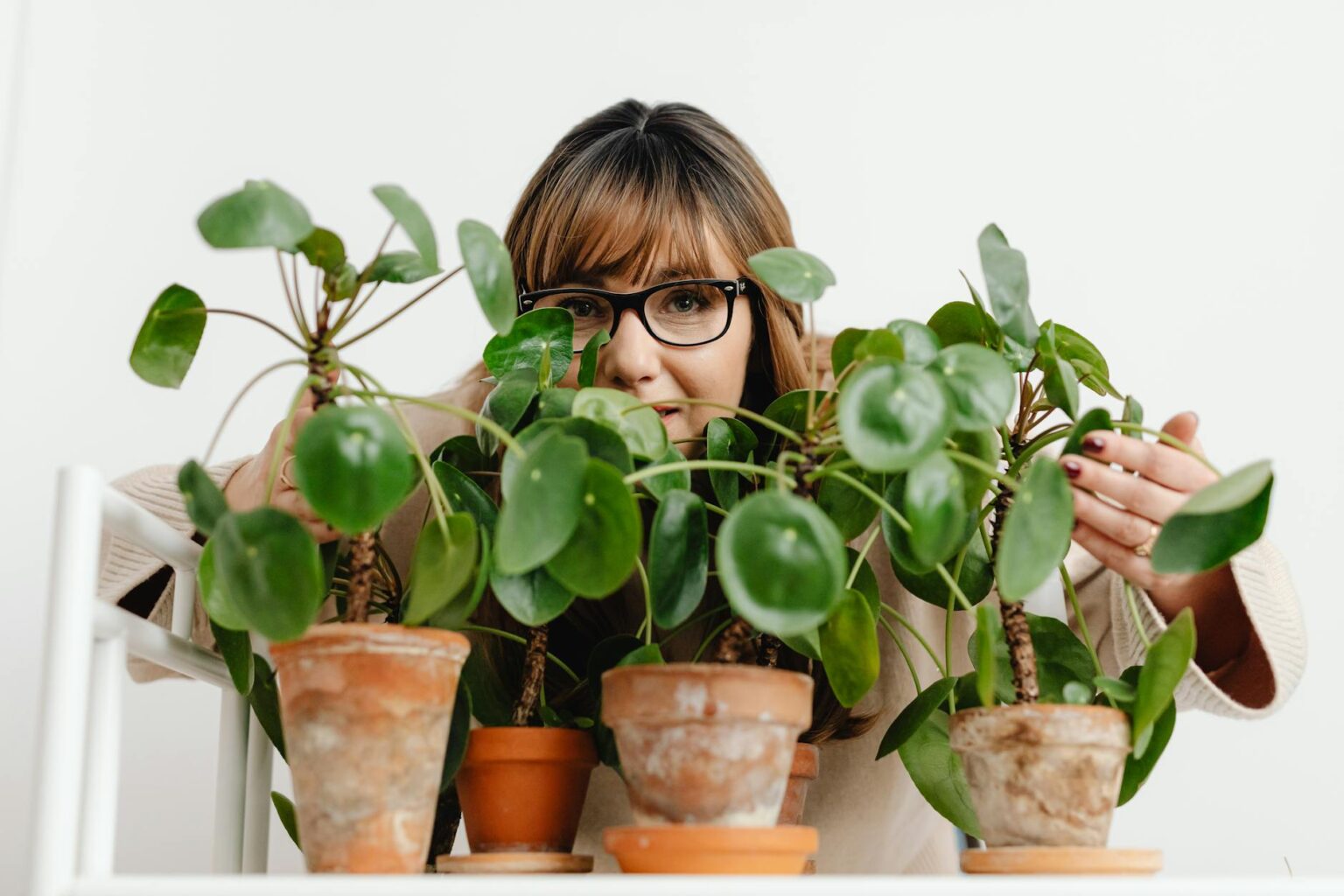 The Rise of Professional Plant Caretakers for Frequent Travelers Indoor houseplants arranged in modern home interior setting
