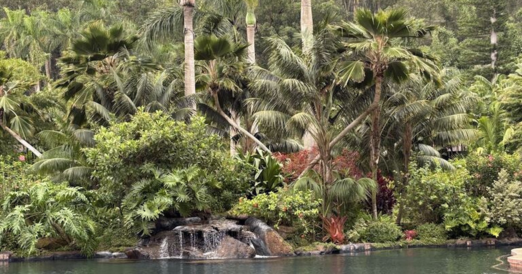Lush upcountry landscape with mist and tropical greenery in Hawaii